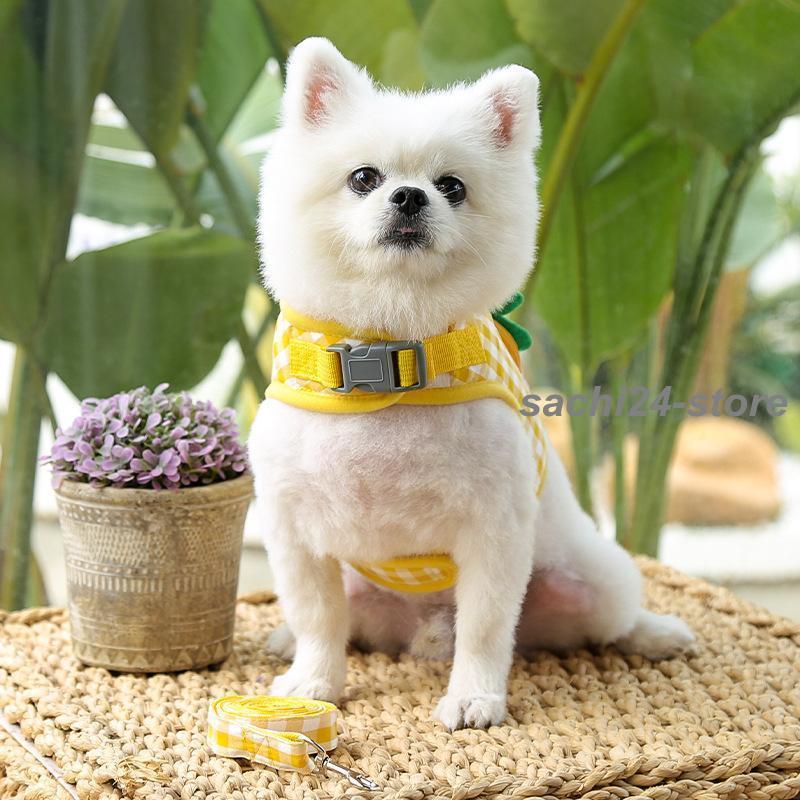 着脱簡単 ハーネス カジュアル チェック柄 猫用 おしゃれ リード レモン バッグ付き 犬用 かわいい 2点セット 苺 ブドウ Dカン 縄 ペット用品