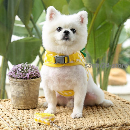 着脱簡単 ハーネス カジュアル チェック柄 猫用 おしゃれ リード レモン バッグ付き 犬用 かわいい 2点セット 苺 ブドウ Dカン 縄 ペット用品