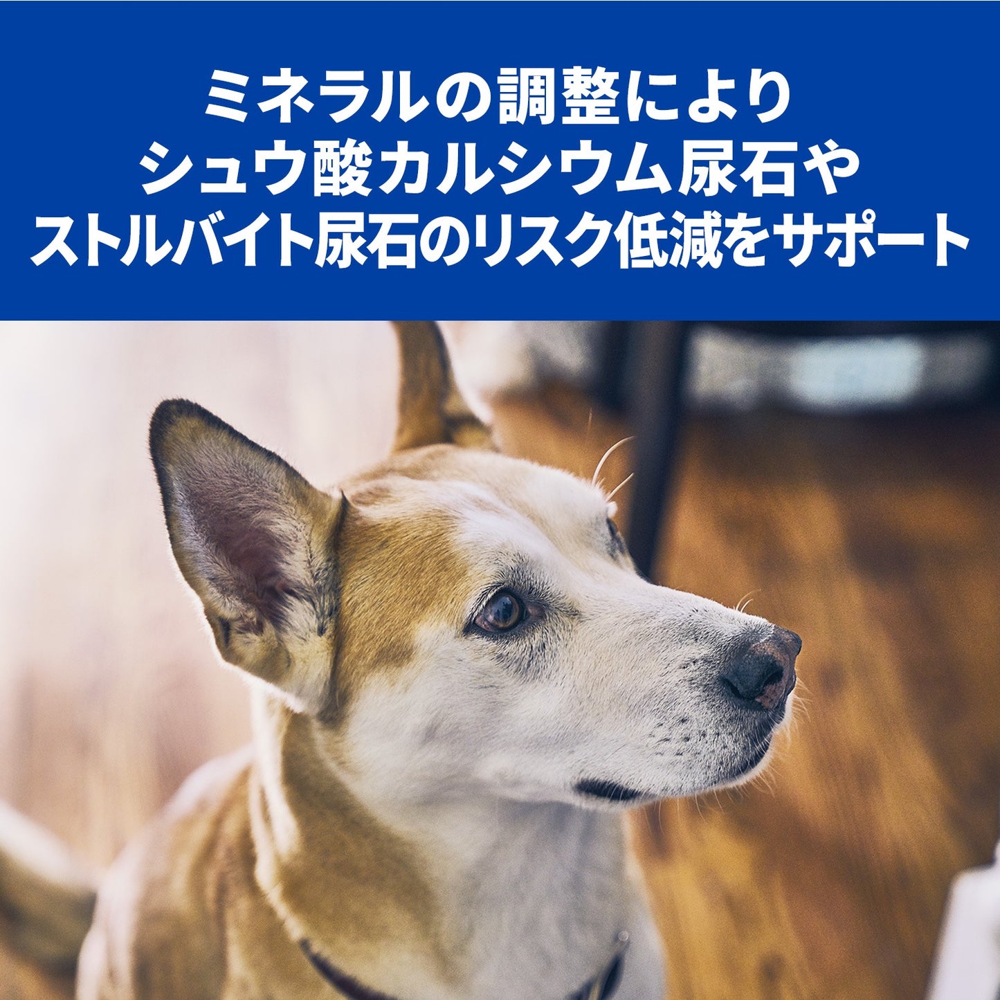 <a href="https://www.qoo10.jp/gmkt.inc/Search/brand.aspx?brandno=77777" target="_blank" class="title_brand" id="btn_brand" title="プリスクリプション・ダイエット">プリスクリプション・ダイエット</a>ドッグフード 療法食 犬 ヒルズ c/d マルチケア 370g12缶 療法食 ダイエット 犬用 尿ケア c/d 体重管理 尿ケア プリスクリプション メガ割