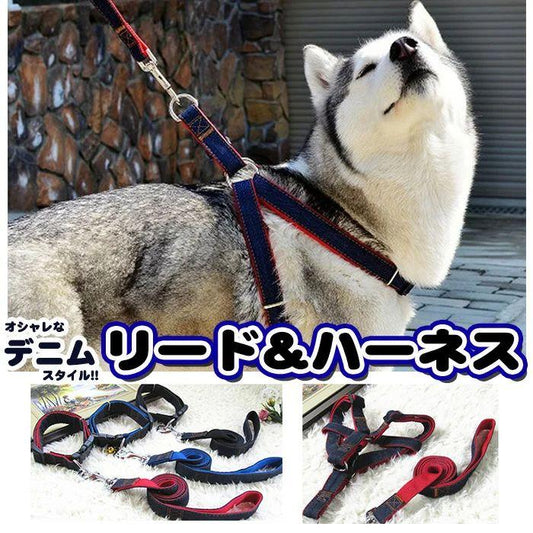新商品プロモーション，数量限定 犬 猫 ハーネス リード ペット デニム 胸あて 胴輪 キャット ドッグ メッシュ犬 猫
