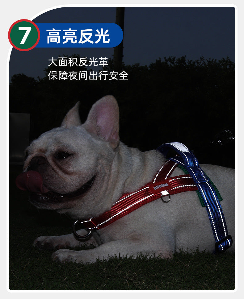 熱い販売のペット胸および背部サドルの爆発証拠の穿孔器 快適な子犬の胸の馬具の屋外の犬の鎖の色ブロックの夏