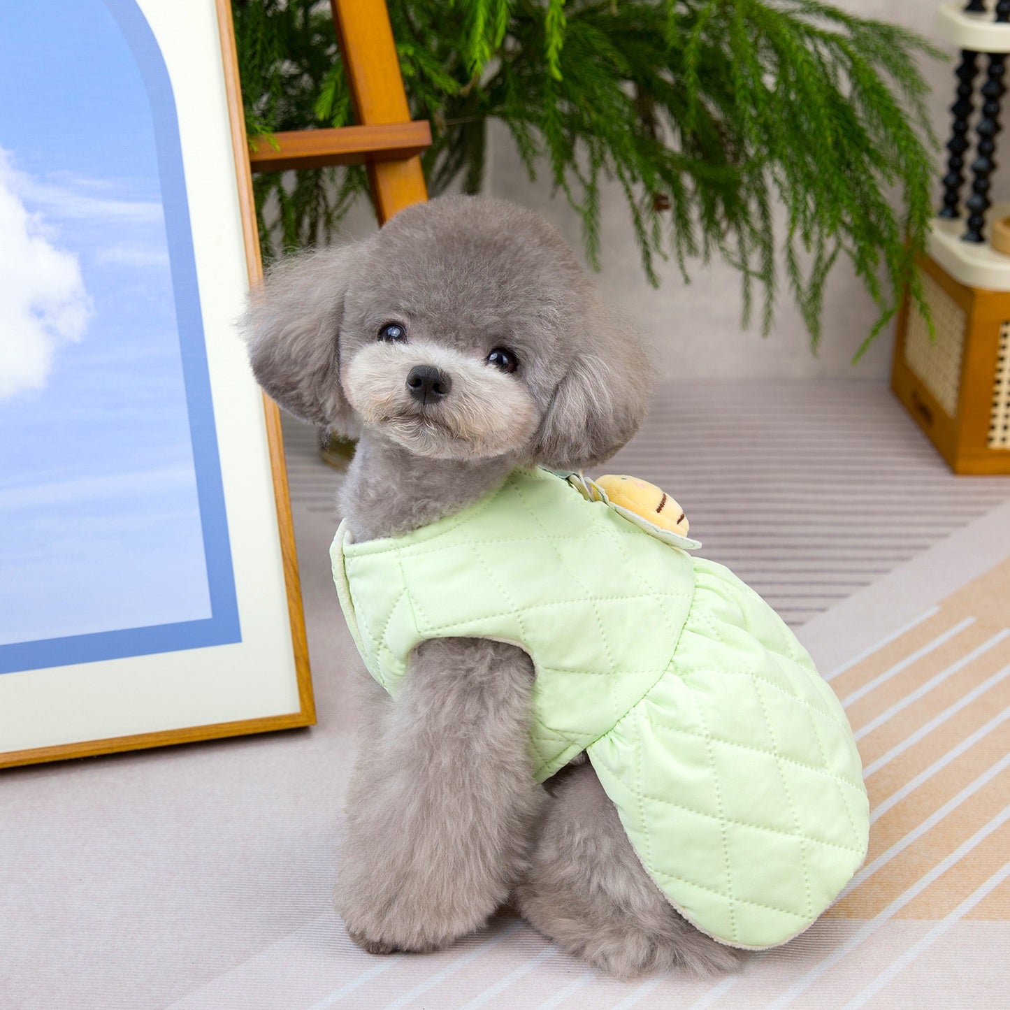 猫 犬 洋服 犬服 ペット服 大中小型犬 ペット用品 犬/猫用 犬の服 ペットウエア 小型犬 中型犬 通気 可愛い ドッグウェア トレーナー 犬 服 ワンピース サロペット ビションフリーゼ 犬猫服