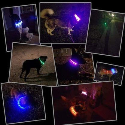 小型犬 プレゼントラッピング無料 犬 中型犬 シリコン 大型犬 防水 猫 LED 夜の散歩 首輪 取り外し可能 光る
