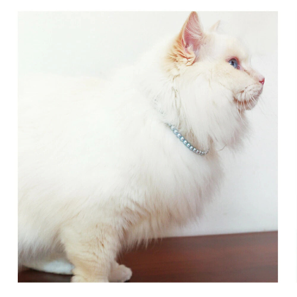 <a href="https://www.qoo10.jp/gmkt.inc/Search/brand.aspx?brandno=121124" target="_blank" class="title_brand" id="btn_brand" title="MELODY ACCESSORY">MELODY ACCESSORY</a>K18GP 送料無料 ペットアクセサリー 犬用 ネックレス 首輪 パール チョーカー 犬 いぬ DOG ねこ 猫 ペット 真珠 シンプル 小型犬 中型犬 かわいい おしゃれ
