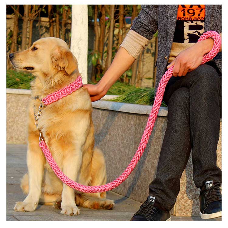 送料無料 リード 首輪 2点セット 犬 首輪セット リードセット 小型犬 中型犬 大型犬 太く 頑丈 丈夫 犬用リード 極太 編み紐 噛み癖 防止 ドッググッズ 散歩 お出かけ しつけ ペット ペット