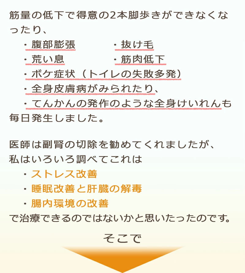 ペット用サプリ ノークッシング 犬 クッシング 対策 サプリ