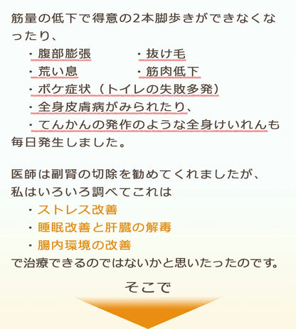 ペット用サプリ ノークッシング 犬 クッシング 対策 サプリ