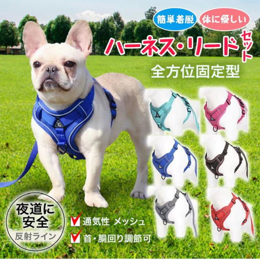 新商品プロモーション，数量限定 犬 犬ハーネス ハーネス リード付き 犬用 猫用 ペット しゃれ 脱げない かわいい 小型 中型 大型 メッシュ 胴輪 散歩 簡単装着 軽量 春 夏 秋 冬 かわいい