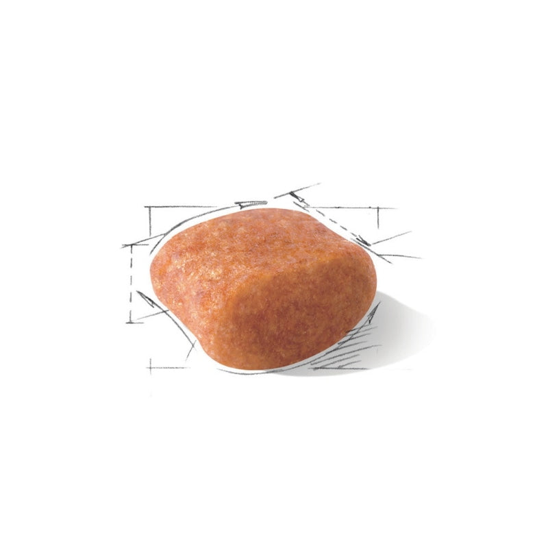 <a href="https://www.qoo10.jp/gmkt.inc/Search/brand.aspx?brandno=24344" target="_blank" class="title_brand" id="btn_brand" title="ROYAL CANIN">ROYAL CANIN</a>【プードル 成犬用 　3kg】 ロイヤルカナン