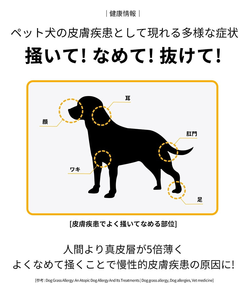 <a href="https://www.qoo10.jp/gmkt.inc/Search/brand.aspx?brandno=120824" target="_blank" class="title_brand" id="btn_brand" title="ドクターバイ">ドクターバイ</a>[公式] スキン＆コート 犬 皮膚 サプリメント 毛 保湿 皮膚炎 痒み止め 指間炎 日本特許成分「AF-343」 30本 (240g)