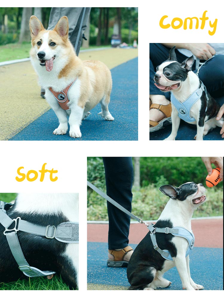 犬 ハーネス 負担軽減 胴輪 小型犬 中型犬 老犬 リード付き 犬具 リードセット 散歩 お出かけ