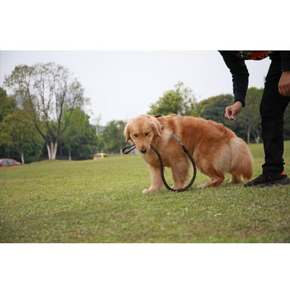 犬用 首輪 リード 大型犬 中型犬 ペットリード 革 レザー メタル スプリング付き 衝撃緩和 錆に強い 丈夫 頑丈 ちょっぴり かっこいい