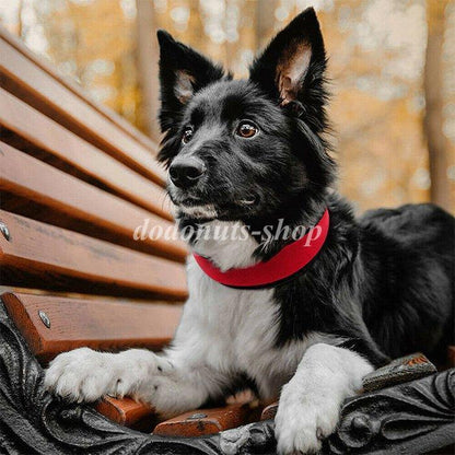 犬 首輪 首や喉に優しい ソフト 素材 ペット ドッグ ペットグッズ 太い 幅広 小型犬 中型犬 大型犬
