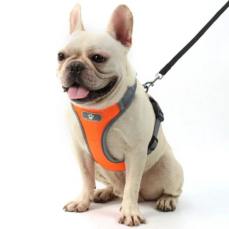 沸騰新柄追加 犬 ハーネス 犬ハーネス 胴輪 犬用ハーネス 犬のハーネス おしゃれ かわいい リード 子犬 小型犬 中型犬 脱げない リードセット 簡単装着 快適 アジャスquma