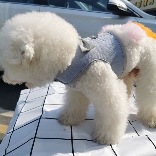 犬牽引ひもテディベストドッグラン犬ひも犬チェーン小型犬ティーカップ犬ペット用品