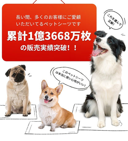 <a href="https://www.qoo10.jp/gmkt.inc/Search/brand.aspx?brandno=109151" target="_blank" class="title_brand" id="btn_brand" title="Honeycare">Honeycare</a>ペットシーツ 薄型 ペットシート　犬猫 サイズ選択可 レギュラー800枚 ワイド400枚 スーパーワイド200枚