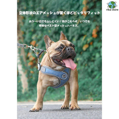 リード 大型犬 反射素材 中型犬 ハーネス リフレクター付き サイズ調整可 負担軽減 2点セット 衝撃緩和 通気性 丈夫 小型犬 かっこいい 頑丈 犬用