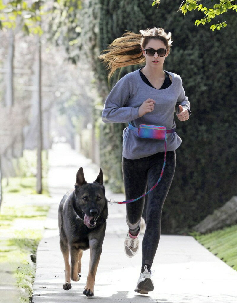 厳選素材多機能 スポーツバッグ リード 夜対応 反射材付き 犬 大型犬 中型犬用 いぬ 伸縮性 痛くない 幅広 安心 安全 軽い 柴犬 犬用首輪 プレゼント ギフト 愛犬用 ペット用品 反射光