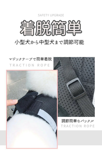 本日のおすすめ ペット メッシュ素材で軽く涼しいハーネス ＆リードセット 夜間反射ベルト 小型犬 中型犬 シンプル 全6色ペット メッシュ素材で軽く涼しいハーネスペット メッシュ素材で軽く涼しいハーネ