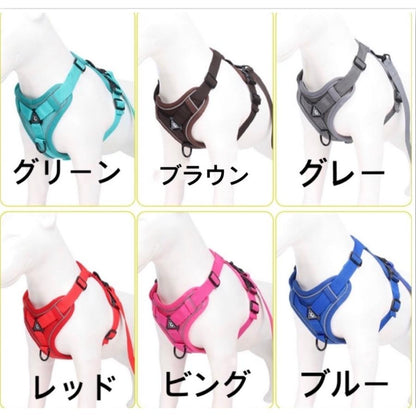 新商品プロモーション，数量限定 犬 犬ハーネス ハーネス リード付き 犬用 猫用 ペット しゃれ 脱げない かわいい 小型 中型 大型 メッシュ 胴輪 散歩 簡単装着 軽量 春 夏 秋 冬 かわいい