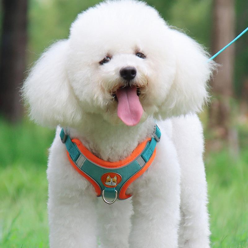 新商品プロモーション，数量限定 犬 ハーネス 犬用ハーネス リード付き ペット用 胴輪 小型犬 中型犬 大型犬 反射 簡単装着 可愛い 抜けない 柔らかい ペット用ハーネス犬 ハーネス