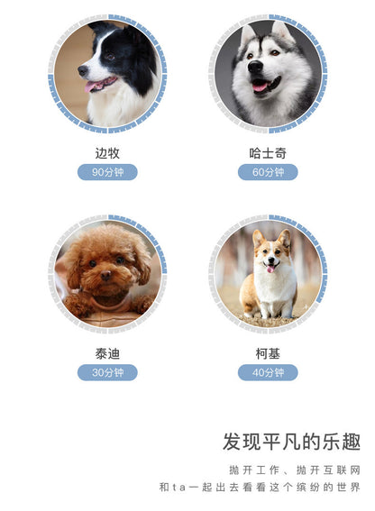 犬用 ペット用品 おしゃれ ハーネス シンプル 猫用 胴輪 ネコ用ハーネス お出かけ ペットハーネス 中型犬 小型犬 犬用ハーネス リーシュ リード 軽量 ハーネスリードセット 2点セット お散歩 犬