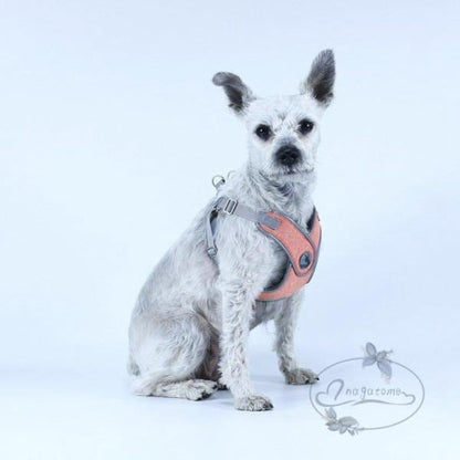 犬 猫 ハーネスリード付き 脱げない 苦しくない おしゃれ ペット服 胴輪 犬 ハーネス 犬用リード 愛犬 お散歩 ペット用品 丈夫 小型犬 中型犬 おしゃれ メッシュ
