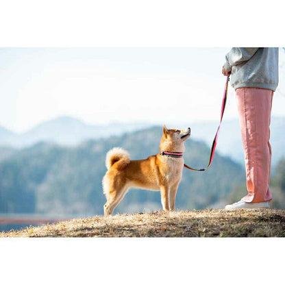 【人気商品】EZ リード ソフトトレーナー 120cm EZYDOG