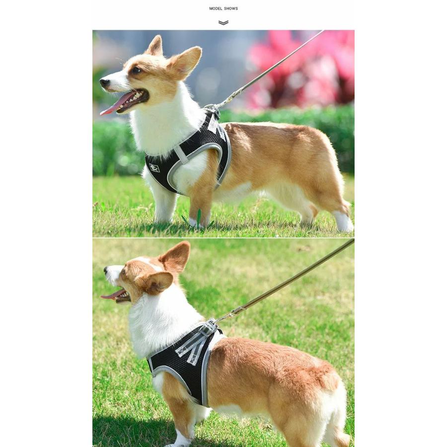 新商品プロモーション，数量限定 セラー犬 ハーネス リード付 ペット 服 ハニカムメッシュ ウェアハーネス 胴輪 キャット ドッグ メッシュセラー犬 ハーネス