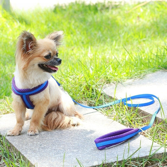 ハーネスリードセット お出かけ ネコ用ハーネス 犬 軽量 胴輪 ペット用品 55 2点セット リード 中型犬 小型犬 シンプル お散歩 犬用 ハーネス 簡単装着 リーシュ 犬用ハーネス 猫用 ペットハ