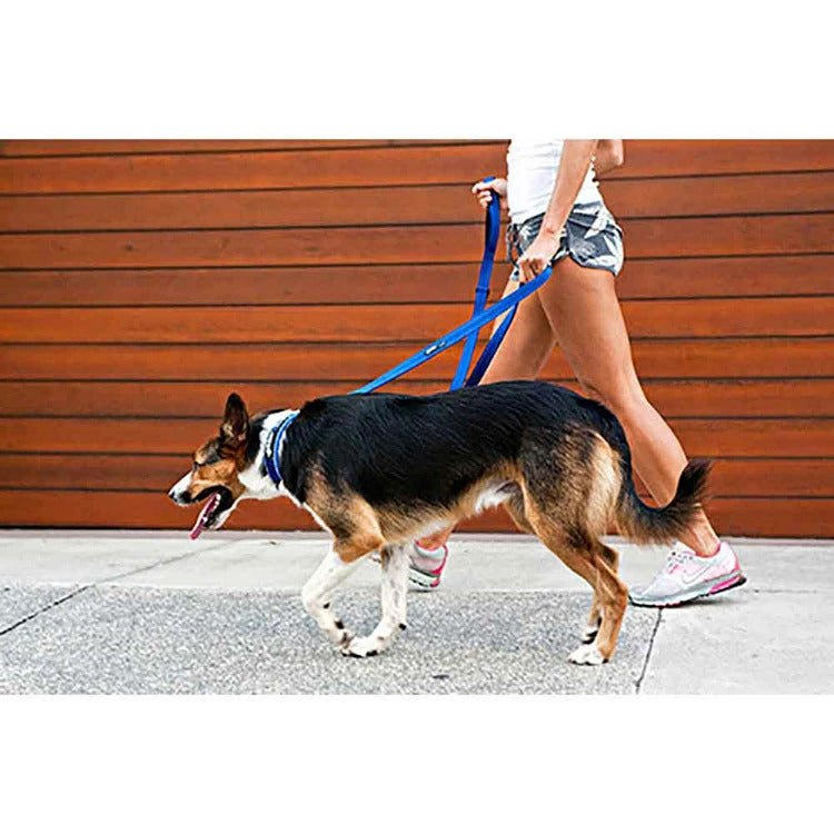 【人気商品】EZ リード ヴァリオ4 EZYDOG