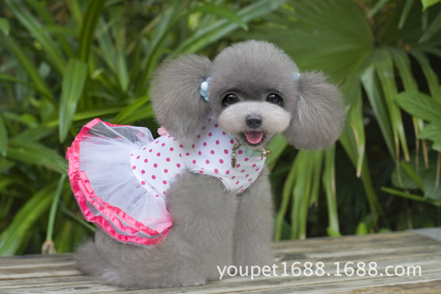 猫 犬 洋服 犬服 ペット服 大中小型犬 ペット用品 犬/猫用 犬の服 ペットウエア 小型犬 中型犬 通気 可愛い ドッグウェア トレーナー 犬 服 ワンピース サロペット ビションフリーゼ 犬猫服