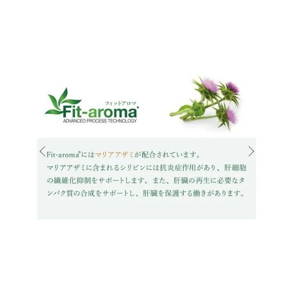 VetSolution ベッツソリューション 犬用 肝臓サポート 3kg ドッグフード 犬 餌
