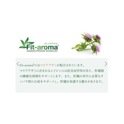 VetSolution ベッツソリューション 犬用 肝臓サポート 3kg ドッグフード 犬 餌