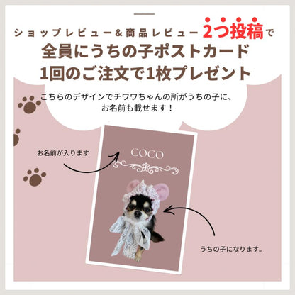 子犬 りんごのほっぺ 軽い 鈴 犬 猫の首輪 首輪 シンプル 猫用 猫 かわいい 子猫 おしゃれ かわいい セーフティバックル ペットグッズ専門店