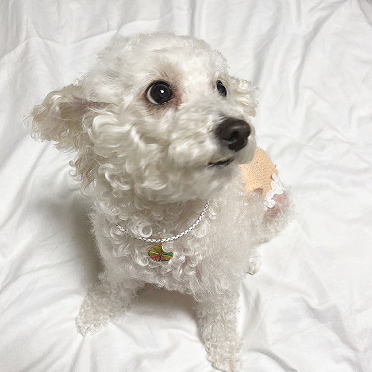 オーダーメイド 首輪 犬 おしゃれ 中型犬 小型犬 本革 かわいい 犬首輪 犬の首輪　猫用首輪