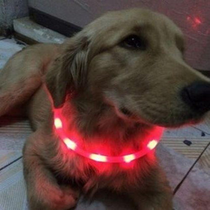 小型犬 プレゼントラッピング無料 犬 中型犬 シリコン 大型犬 防水 猫 LED 夜の散歩 首輪 取り外し可能 光る