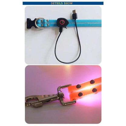3日以内に出荷 明日まで値下げ 犬 リード 光る 安全対策 LED光るリード 軽量 ペット用リード 長さ120cm 夜間散歩 柔らかい 無臭 夜散歩ライト 視認性 犬 USB充電式 期間限定オファー