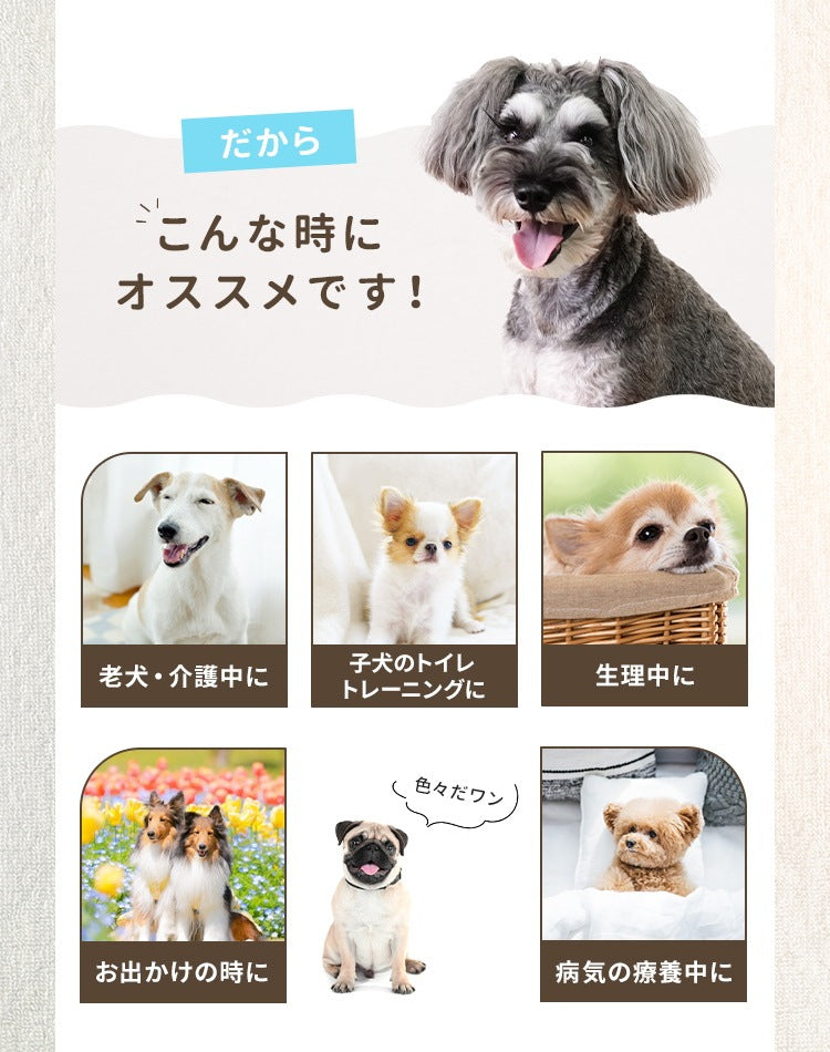 <a href="https://www.qoo10.jp/gmkt.inc/Search/brand.aspx?brandno=114450" target="_blank" class="title_brand" id="btn_brand" title="WEIMALL">WEIMALL</a>犬用おむつ 女の子 ペット 犬用 オムツ カバー 小型犬 小型犬 中型犬 テープ付き 紙オムツ 高齢犬 お出かけ 介護 生理 ナプキン しつけ お漏らし対策 紙おむつ ペットおむつ ペットオムツ