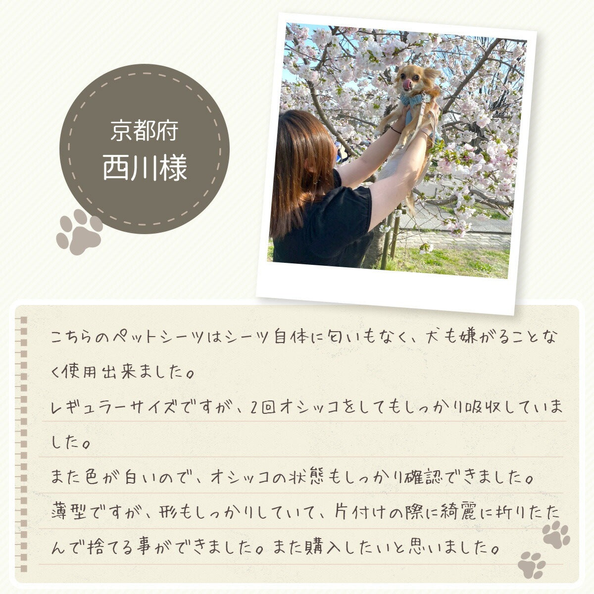 <a href="https://www.qoo10.jp/gmkt.inc/Search/brand.aspx?brandno=126282" target="_blank" class="title_brand" id="btn_brand" title="Laundly">Laundly</a>最短翌日到着 ペットシーツ 小分け 薄型 ペットシート ワイド 100枚 レギュラー 200枚 スーパーワイド50枚 小分け容量 トイレシーツ 超薄型タイプ 1回使い捨て 犬 猫 トイレ シー