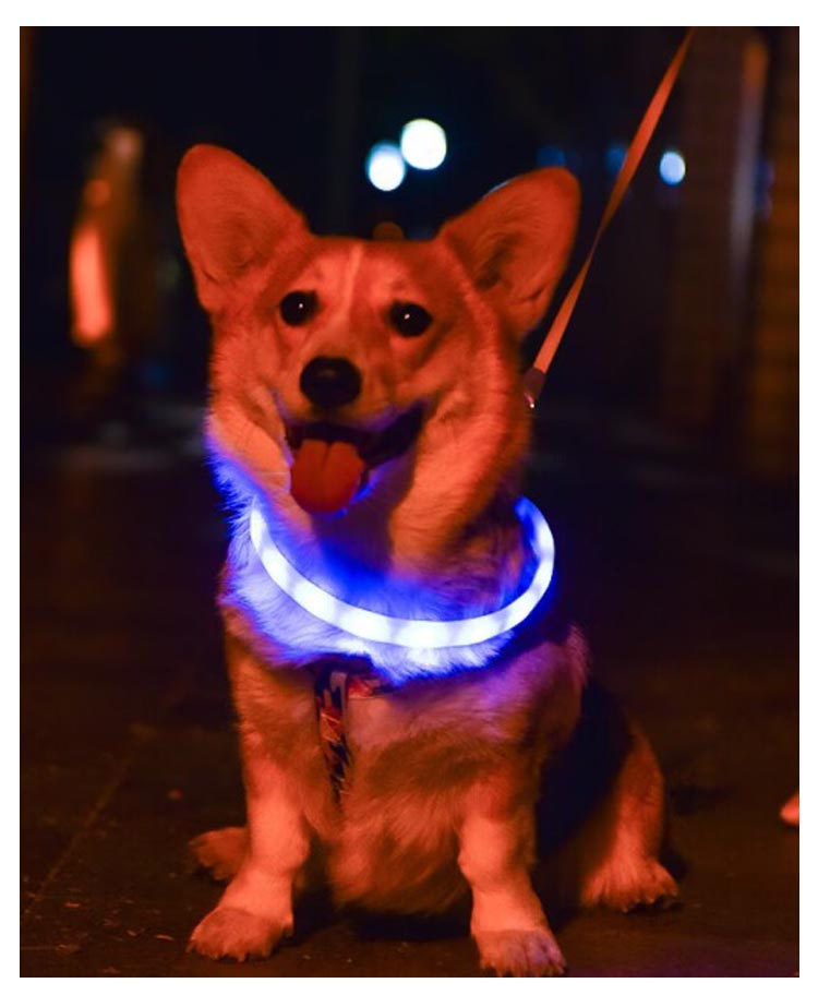 USB充電 ペット LED 光る カラー 小型犬 便利 散歩 リード ライト 首輪 光 繰り返し使える 犬 大型犬 光る首輪 猫 アウトドア 事故防止 安全グッズ ペット用品 柔らかい 痛くない ドッ