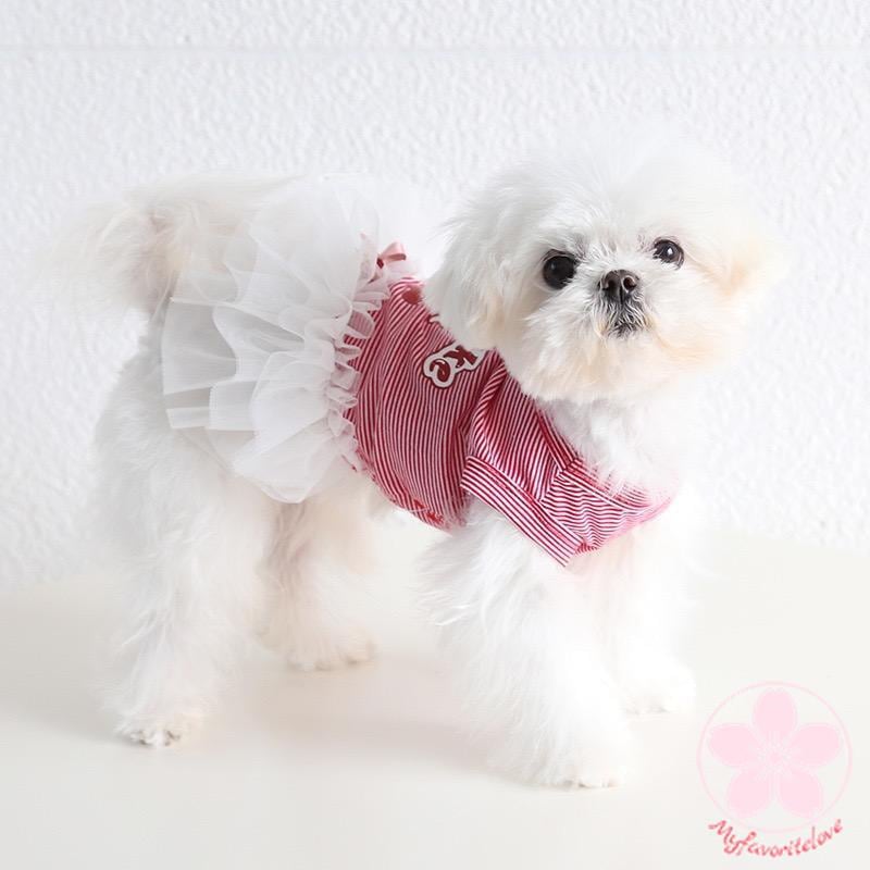 新入庫 ペット 服 安い 犬 春 夏 秋 さくらんぼ 柄 ボーダー タンクトップ ワンピース かわいい 可愛い ハイブランド 猫 ドッグウェア