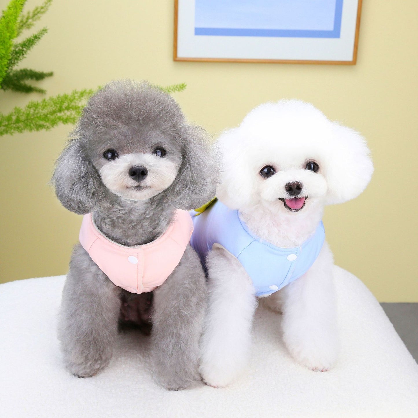 猫 犬 洋服 犬服 ペット服 大中小型犬 ペット用品 犬/猫用 犬の服 ペットウエア 小型犬 中型犬 通気 可愛い ドッグウェア トレーナー 犬 服 ワンピース サロペット ビションフリーゼ 犬猫服
