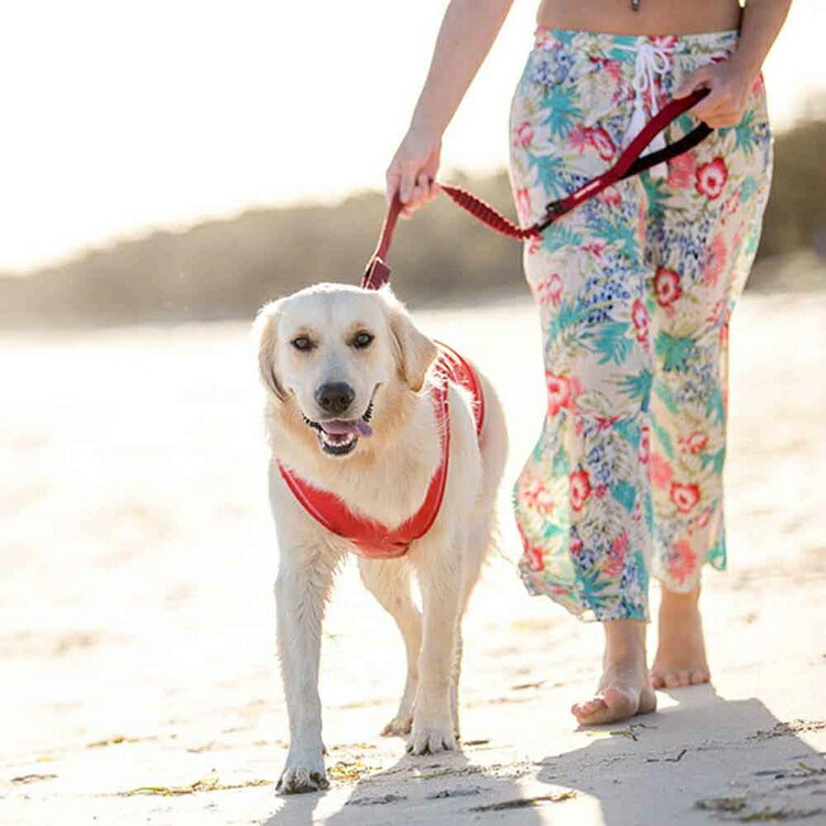 【人気商品】EZ リード ゼロショック 120cm EZYDOG