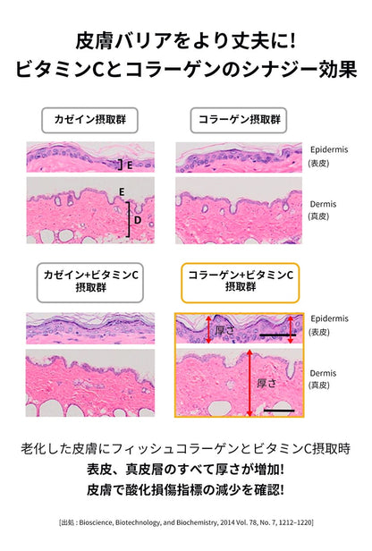 <a href="https://www.qoo10.jp/gmkt.inc/Search/brand.aspx?brandno=120824" target="_blank" class="title_brand" id="btn_brand" title="ドクターバイ">ドクターバイ</a>[公式] スキン＆コート 犬 皮膚 サプリメント 毛 保湿 皮膚炎 痒み止め 指間炎 日本特許成分「AF-343」 30本 (240g)
