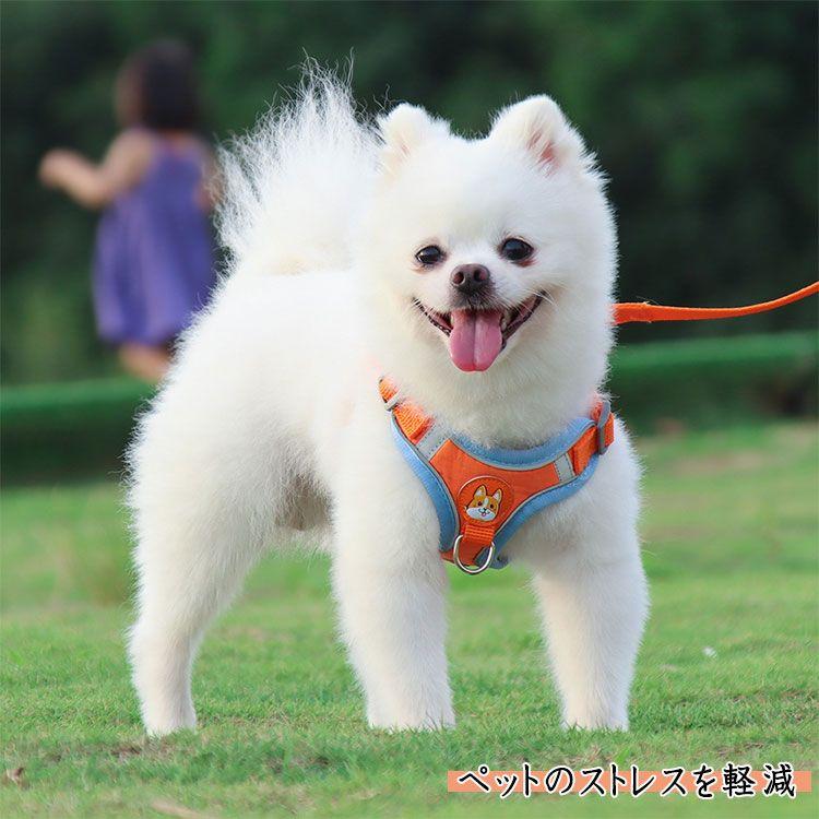 新商品プロモーション，数量限定 犬用 ハーネス 小型犬用 ハーネス リード ２点セット ペット用品 小型犬 全６色 S M L XL リード長さ約15ｍ ハーネス　胴輪　簡単着犬用 ハーネス