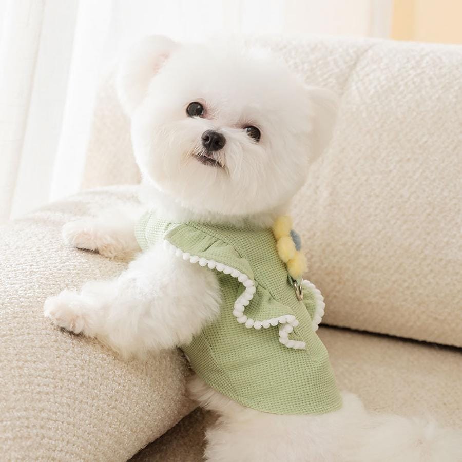 春と秋の犬服テディボーミペットのコキシナレビーベア秋冬服 牽引可能ペット衣類