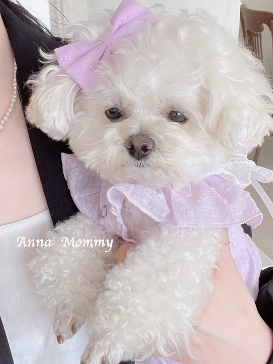 [犬 服]犬 洋服 ins人気商品 犬の服春夏ペットスカート服小型犬ドレス猫かわいい