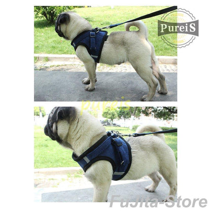 人気商品,犬 ハーネス リード付 ペット服 ウェアハーネス 胴輪 キャット ドッグ メッシュ 一体型 胸あて式 軽量 調節可能 犬用 小型犬 ペット用品 猫用首輪 猫/犬 可愛い