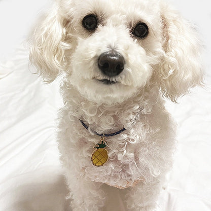 オーダーメイド 首輪 犬 おしゃれ 中型犬 小型犬 本革 かわいい 犬首輪 犬の首輪　猫用首輪